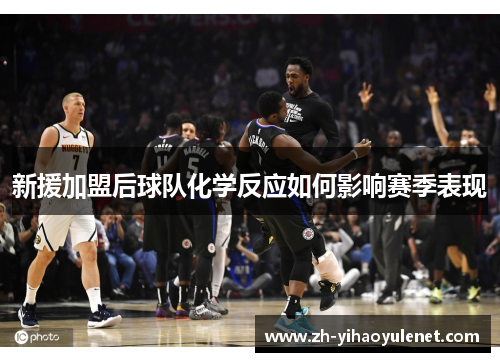 新援加盟后球队化学反应如何影响赛季表现